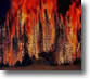 alberi in fiamme