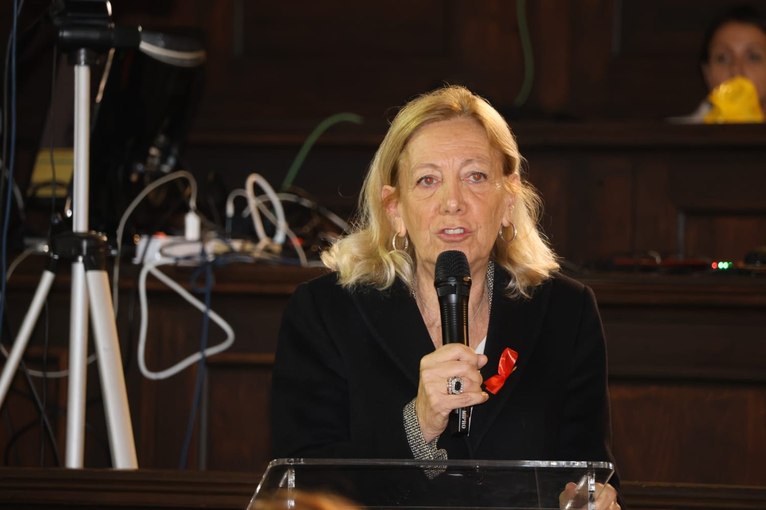 Il Consiglio comunale celebra la Giornata internazionale per l’eliminazione della violenza contro le donne