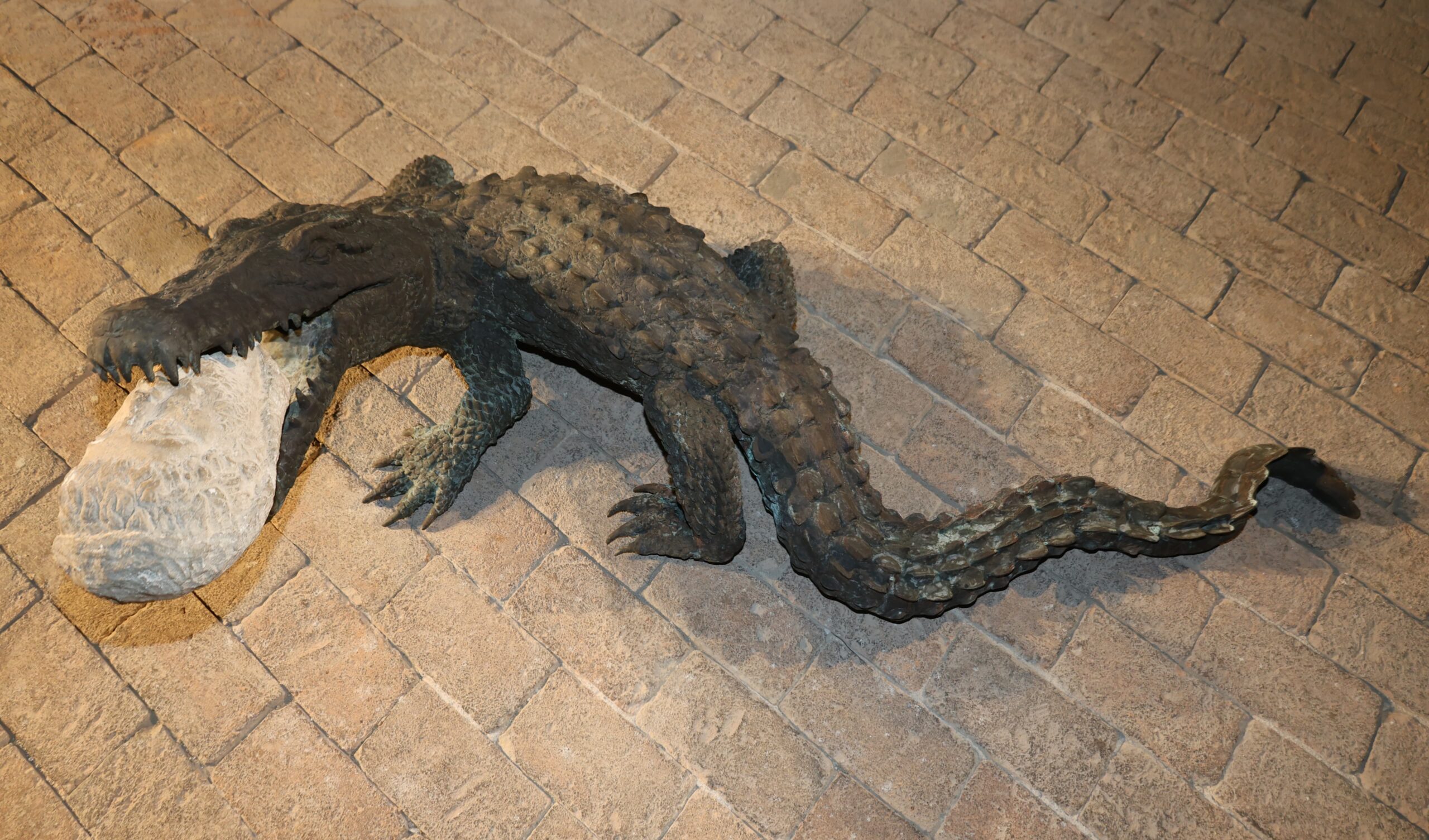 Inaugurata al Maschio Angioino l'opera d'arte contemporanea "Lacrime di coccodrillo"