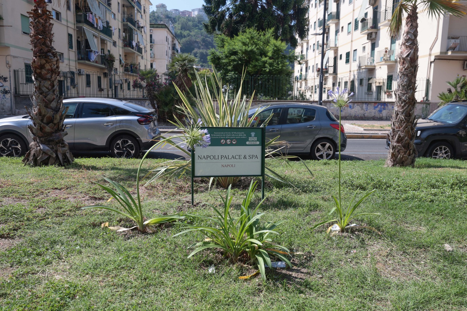 Inaugurati i giardini recuperati di viale Augusto
