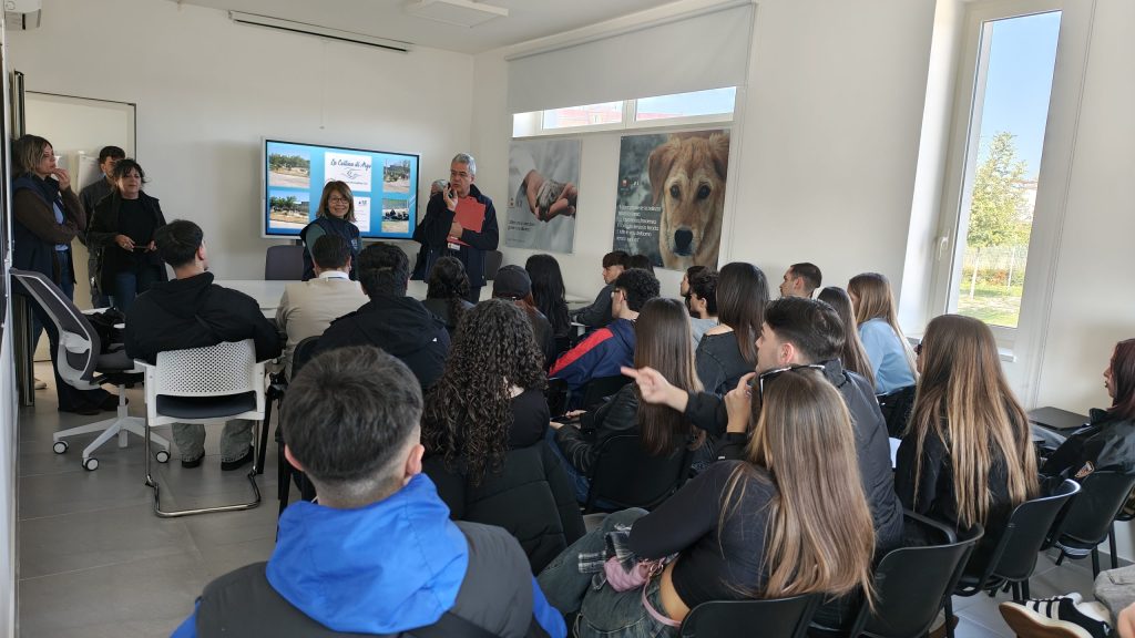 IMG_20260310_092815753_HDR