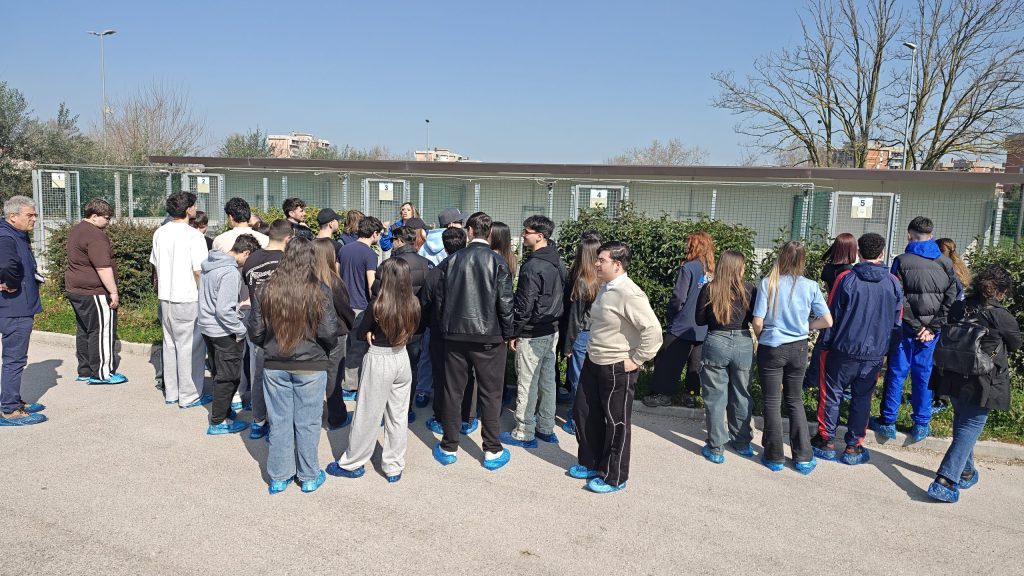 IMG_20260310_104138887