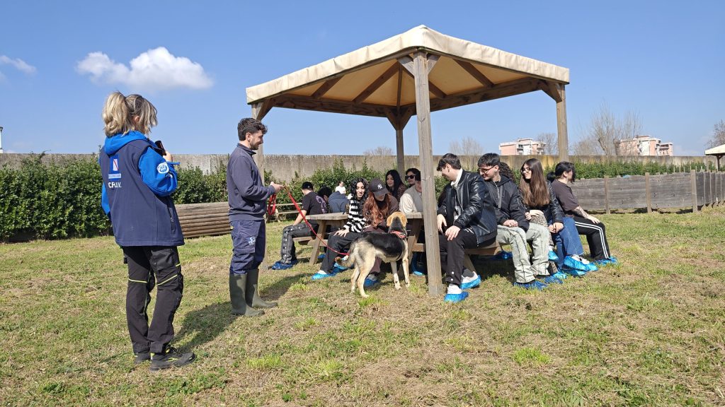 IMG_20260310_110031257