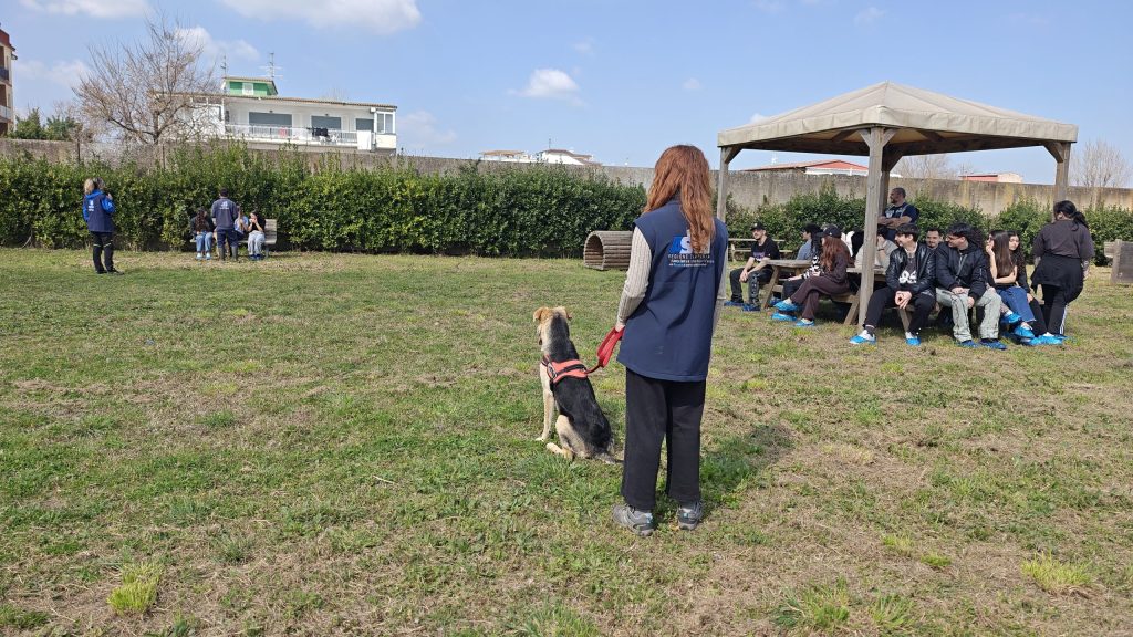 IMG_20260310_111003603