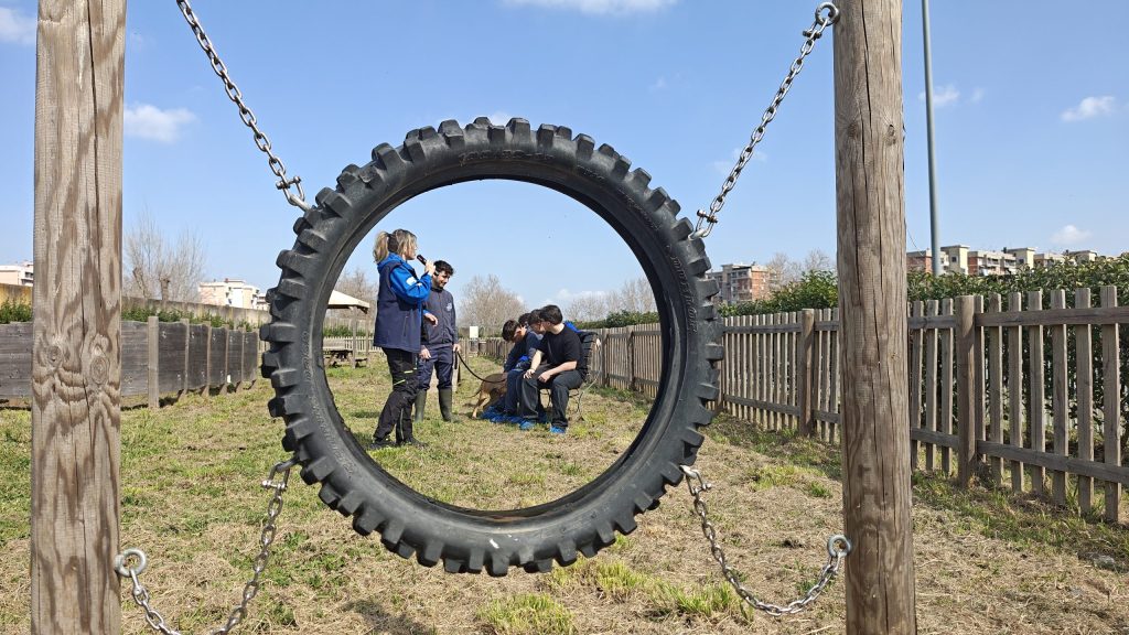 IMG_20260310_111142706