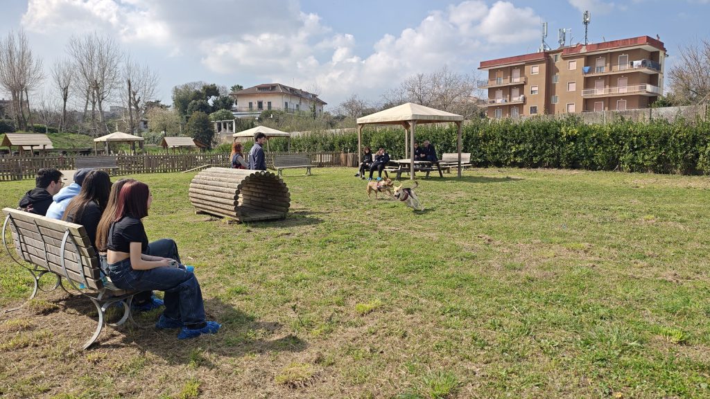 IMG_20260310_111357505