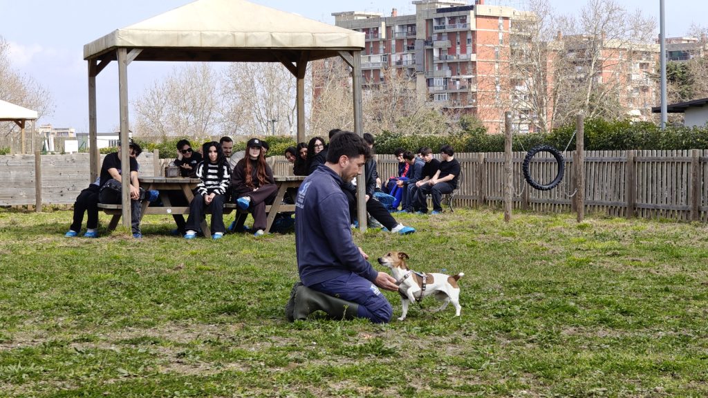 IMG_20260310_112729365_HDR