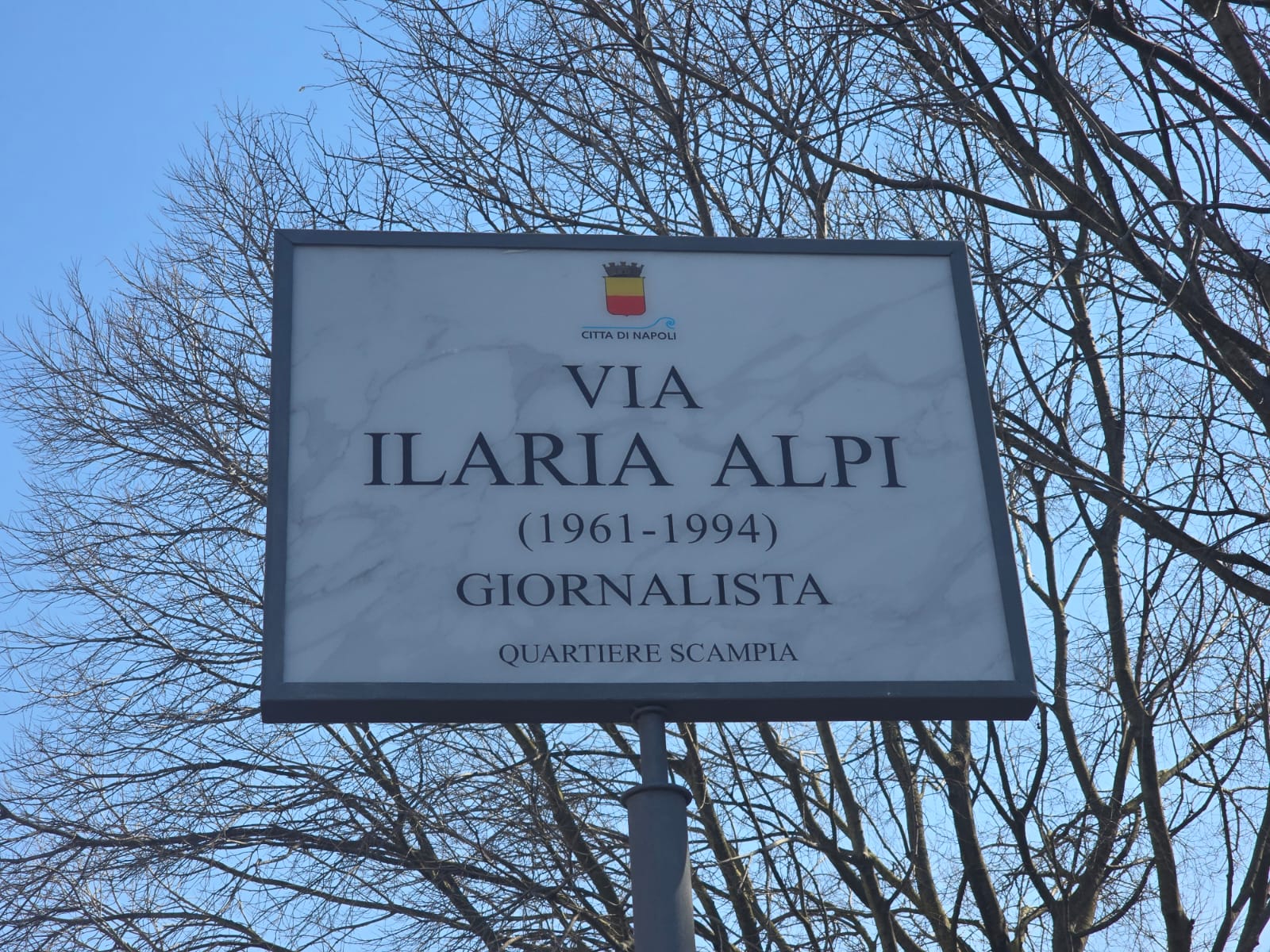 WhatsApp Image 2026-03-20 at 11.01.14